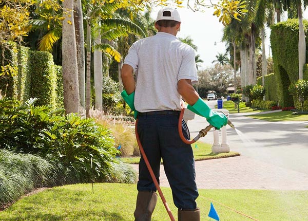About Chandlers Valley PA Pest Control